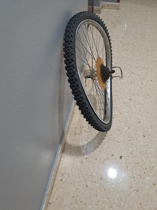 Bicicleta Orbea Sherpa: necesita reparación