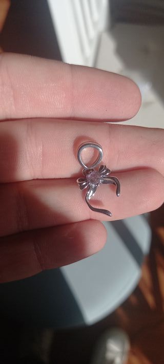 Charm de Plata Rosa