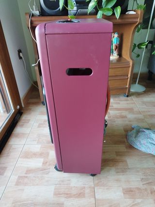 Estufa de gas ARTICA