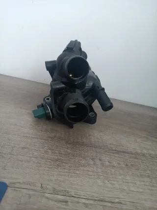 Termostato Peugeot Citroen
