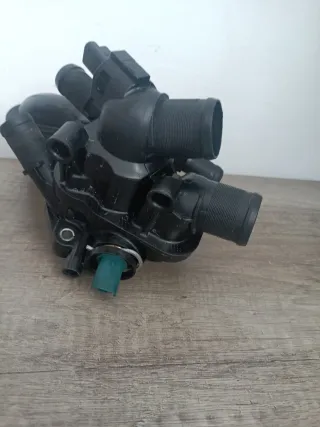 Termostato Peugeot Citroen