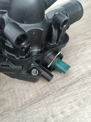 Termostato Peugeot Citroen
