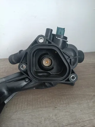 Termostato Peugeot Citroen