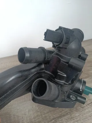 Termostato Peugeot Citroen