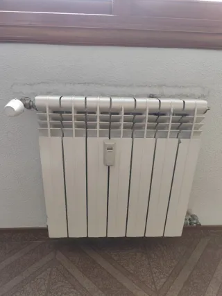 Radiadores blancos de aluminio.