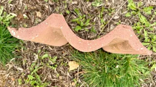 Teja cerámica mixta TESA, color terracota