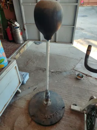 Punching Ball Salter, boxeo