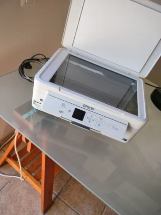 Stampante Epson Bianca XP 345