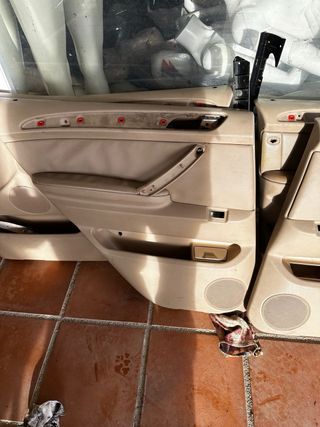 Paneles Puerta BMW X5 E53 (Beige)