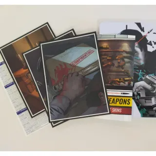 XIII Limited Edition / Playstation 4 /