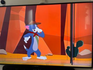 Samsung TV 55 UHD 4k - Pantalla Rota