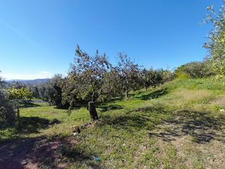 Chalet en venta en Poble Nou - Zona Esportiva en Terrassa