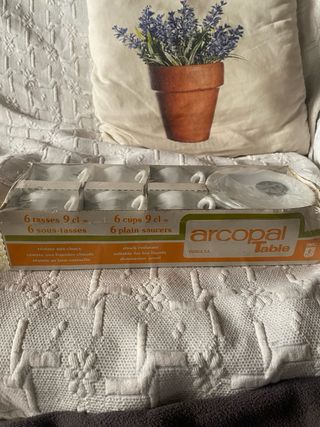 Set 6 tazas y platos café porcelana. Vintage nuevo