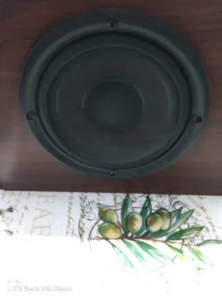 OFERTON!!! Par de Altavoces Bose 60W 8 Ohms.