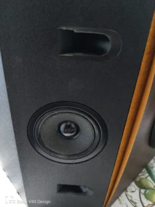 OFERTON!!! Par de Altavoces Bose 60W 8 Ohms.