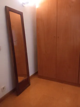 Puerta armario antiguo con espejo decorativo