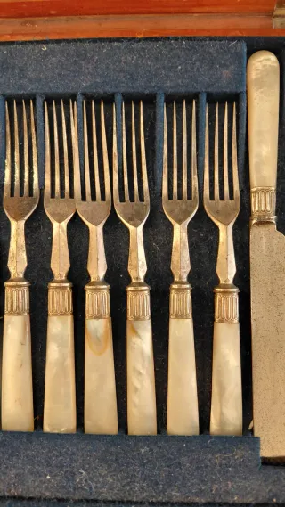 Cassetti servizio Sheffield 1890 con Custodia