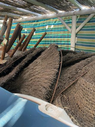 Juego 50 hamacas playa + 25 sombrillas