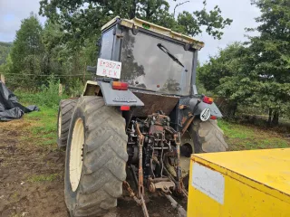 Tractor Lamborghini 80
