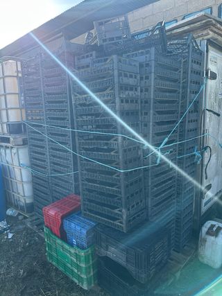 Cajas de plástico negras