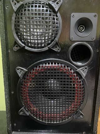 Equipo de Sonido Profesional