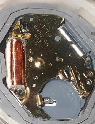 Reloj Cauny Movt. Miyota