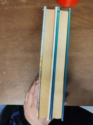 2 Libri Danielle Steel