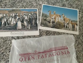 Lote Postales Animales Patagonia