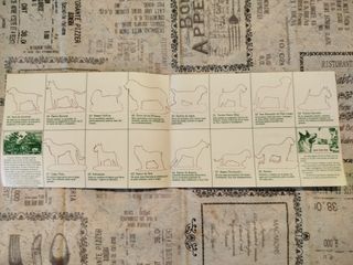 Álbum de cromos vacío TUS AMIGOS LOS PERROS