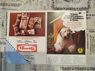 Álbum de cromos vacío TUS AMIGOS LOS PERROS