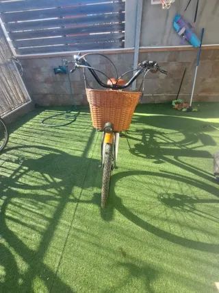 Bici eléctrica de paseo