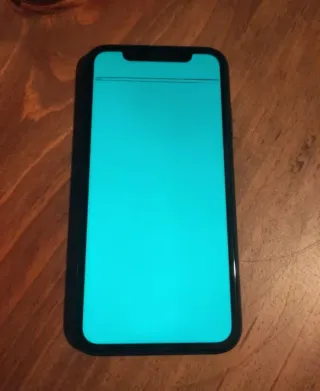 iPhone 11 64 GB Negro