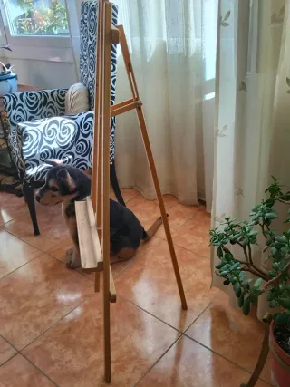 Caballete de madera para pintar