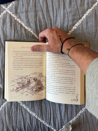 Libro Geronimo Stilton: La isla petrificada.