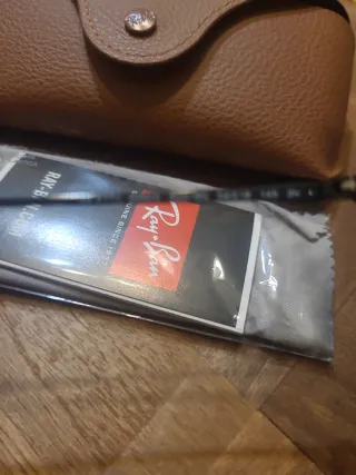 Gafas de sol Ray-Ban Erika RB4171 Negro/Gris