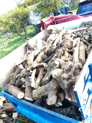 Se vende leña de naranjo, ideal para chimeneas