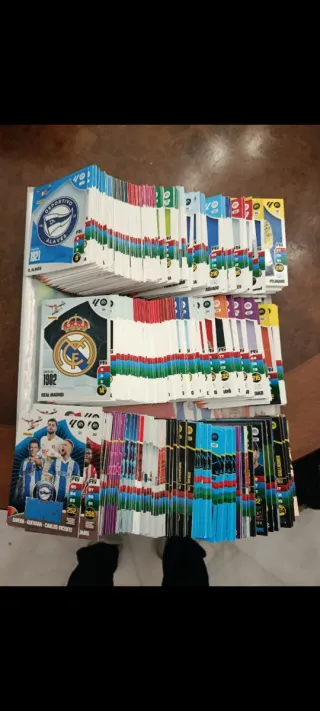 Cromos Adrenalyn XL 24-25