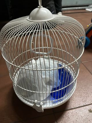 Jaula redonda para pájaros blanca