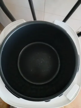 Olla Eléctrica Aigostar Panda