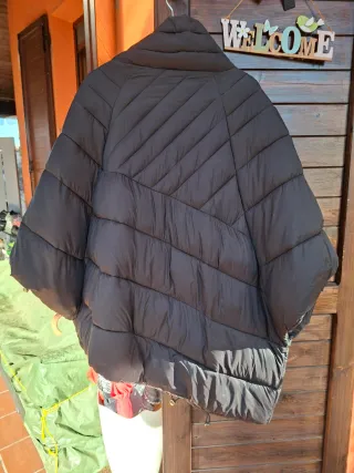 Mantella asimmetrica Fly