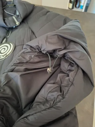 Mantella asimmetrica Fly