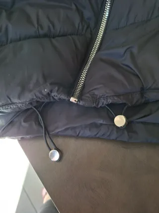 Mantella asimmetrica Fly