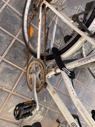 Bicicleta Orbea con silla para niño y cesta regalo