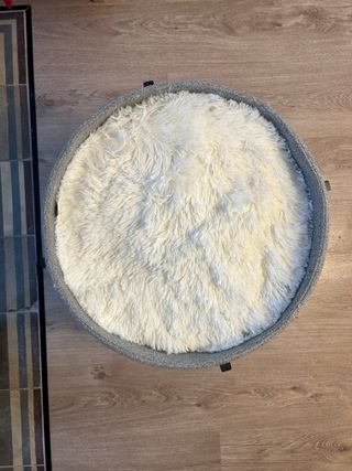 Cama elevada para mascota (Gato o Perro)