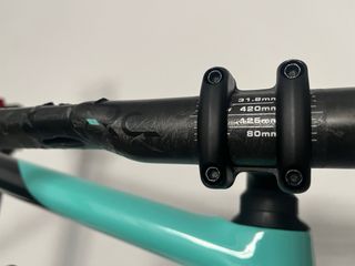 Cuadro Bianchi Specialissima Celeste