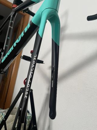 Cuadro Bianchi Specialissima Celeste