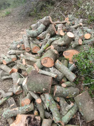 Leña de olivo para chimenea