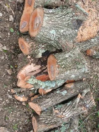 Leña de olivo para chimenea