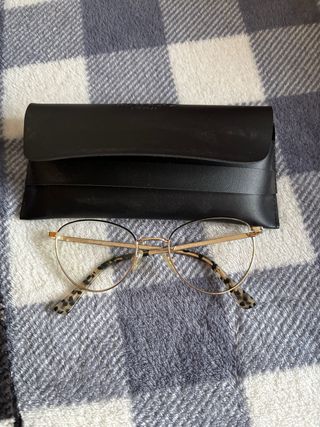 Gafas de ver doradas con funda