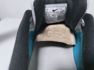 Zapatillas Nike Pegasus 40 SE Multicolor